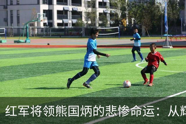 红军将领熊国炳的悲惨命运：从辉煌到漂泊的三十年