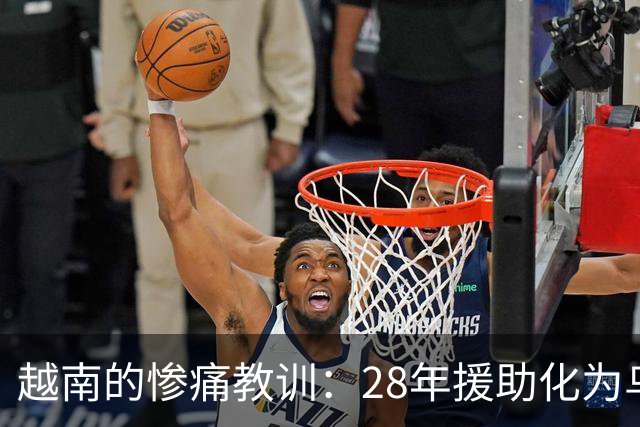 越南的惨痛教训：28年援助化为乌有